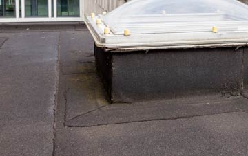disadvantages of Norchard flat roofs