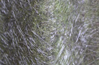 Norchard fibreglass roof work